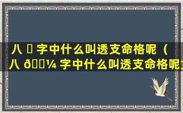 八 ☘ 字中什么叫透支命格呢（八 🐼 字中什么叫透支命格呢女生）